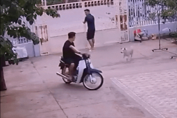 Xe máy - Xe đạp - Clip: Thanh niên nhận cái kết khi nghe lời "nó không cắn đâu"