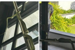 Tin tức trong ngày - Nóng trong tuần: Thuê resort 60 triệu đồng/đêm, nữ giám đốc tá hỏa vì rắn bò vào phòng