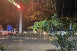 Tin tức trong ngày - “Mưa vàng” đồng loạt trút xuống nhiều nơi ở miền Bắc và miền Trung