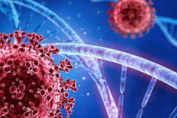 Thế giới - WHO: Không thể xóa sổ virus SARS-CoV-2