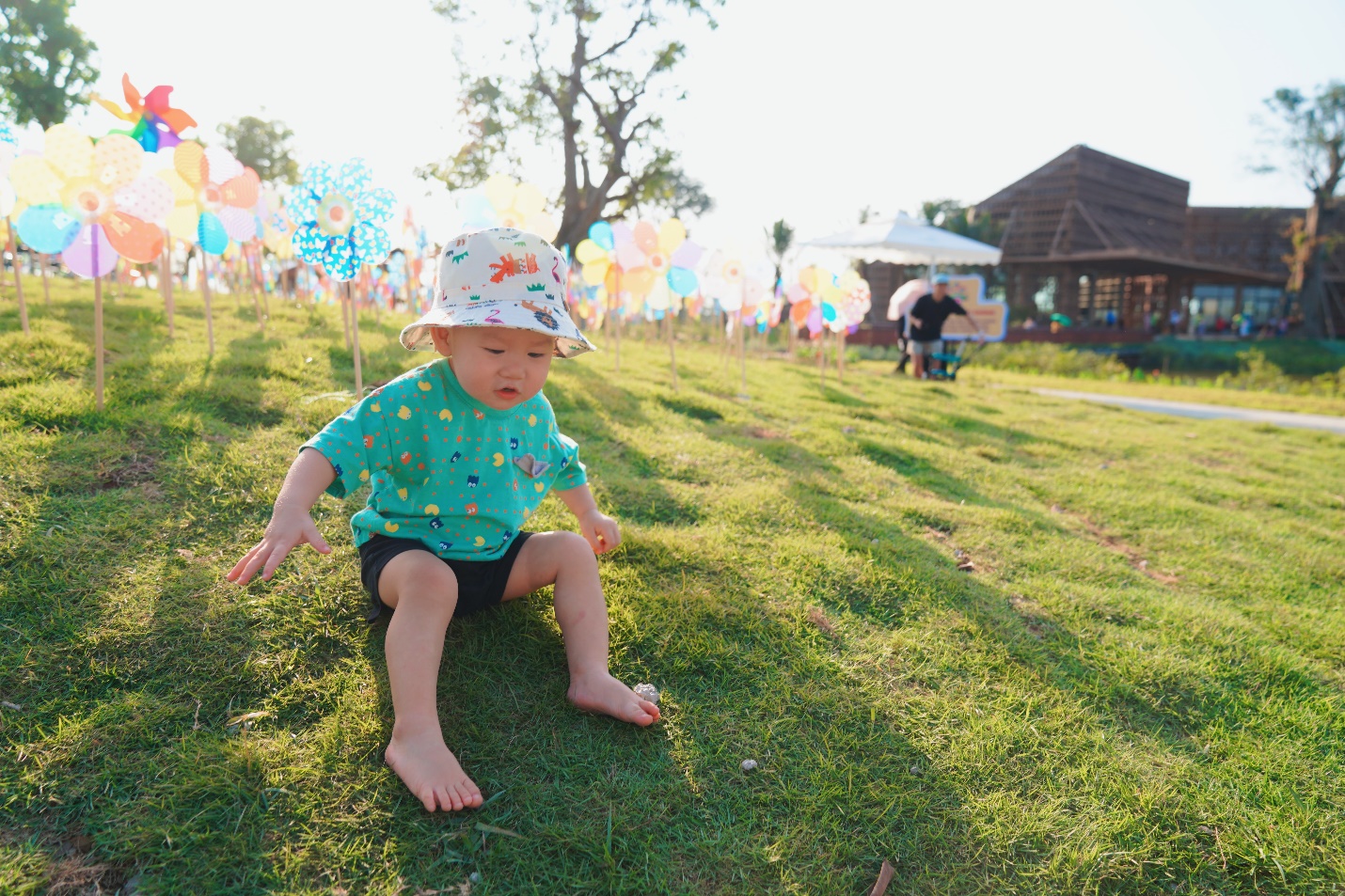 Công viên Hồ Thiên Nga tại đại đô thị xanh Eco Central Park chính thức mở cửa đón cư dân - 8