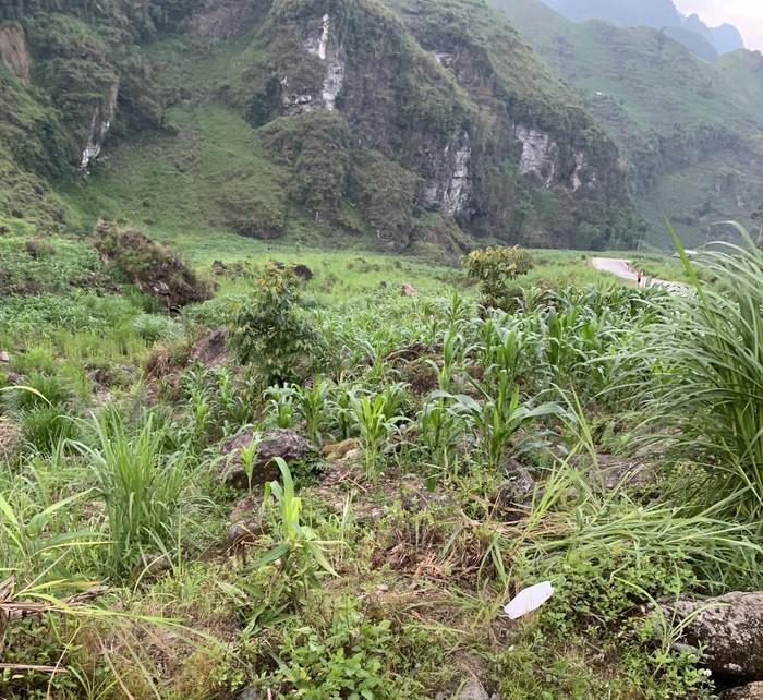 Khu vực vợ chồng thầy Nam và con nhỏ gặp tai nạn trong lúc đến trường.