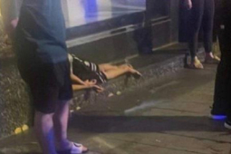 Pháp luật - Bác tin đồn xảy ra án mạng tại khu vực Nhà hát Lớn, Hà Nội