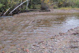 Kinh doanh - Con sông lạ, múc vài gáo nước có thể đổi đời giàu sang, bên dưới có gì?