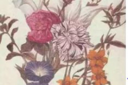 Bạn trẻ - Cuộc sống - Ảo ảnh "gây lú" thách thức những người có IQ cao