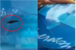 Tin tức trong ngày - Kẻ xấu "đã bỏ con đỉa trong bình nước để hạ uy tín doanh nghiệp"?