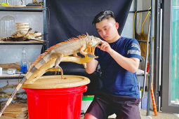 Đàn ông - 9X Nghệ An "hồi sinh" xác động vật trăm triệu: Thu nhập có "khủng" như lời đồn?