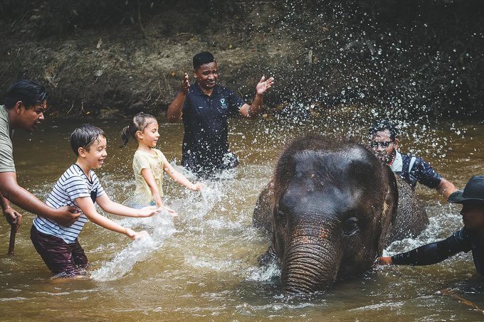 15 “viên ngọc ẩn” ở Malaysia khiến du khách muốn quay lại vào mỗi mùa hè - 2