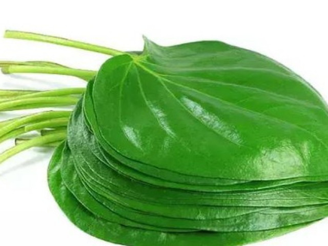 Sức khỏe đời sống - 10 lợi ích sức khỏe của lá trầu không phải ai cũng biết