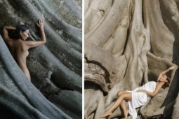 Trèo lên cây đa thiêng 700 năm tuổi chụp ảnh khỏa thân, nữ du khách lãnh hậu quả