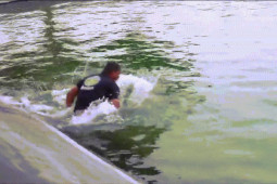 Video: Người đàn ông nhảy xuống hồ vồ rắn chuột, một tay đối đầu rắn hổ mang