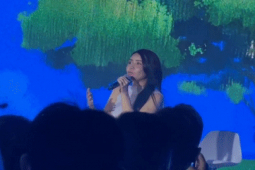 Nhạc - Lưu Hương Giang lần đầu nói về Hồ Hoài Anh: “Dù có bất cứ chuyện gì xảy ra…”