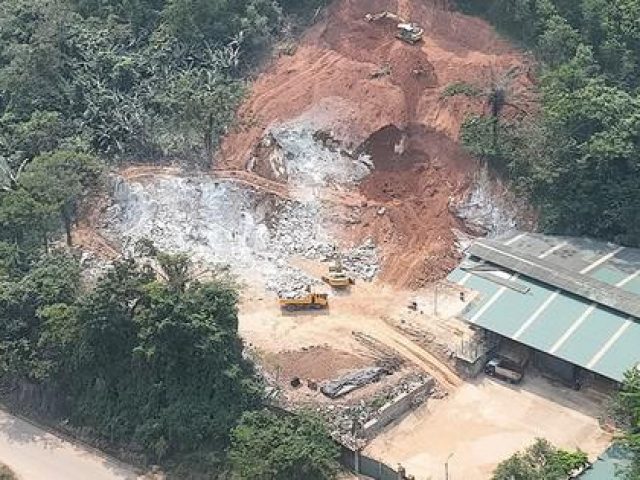 Tin tức trong ngày - Xử phạt doanh nghiệp phá núi, chiếm hơn 1.600m2 đất rừng để "nhốt" trâu bò