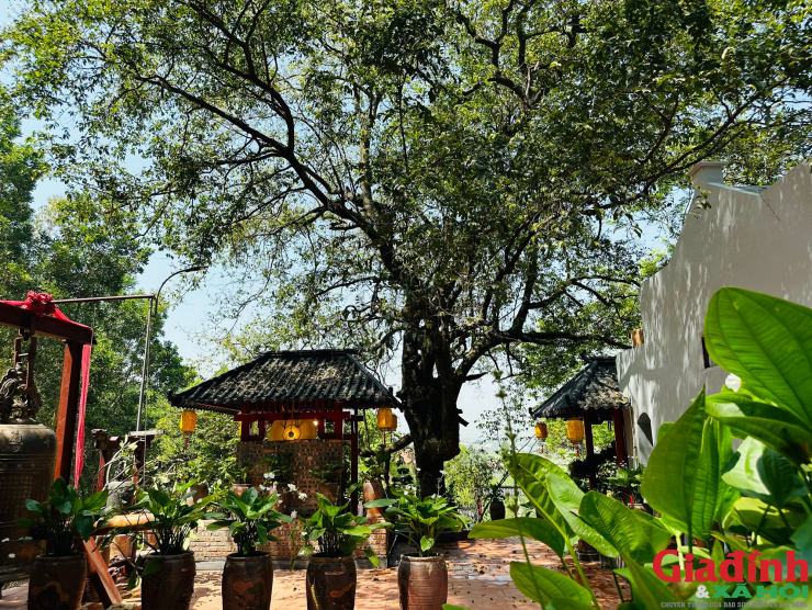 Chùa Cây Thị ở Hà Nam - ngôi chùa tiên cảnh mới nhất mà bạn nên ghé thăm - 5