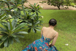 Làm đẹp - Yến mạch giảm cân nhanh vào buổi sáng