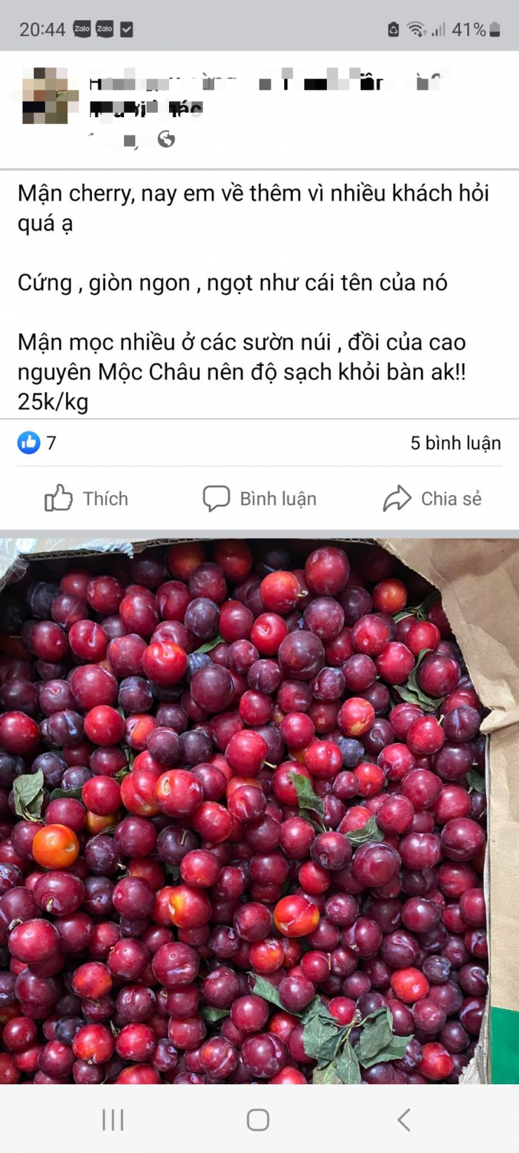 Mận cherry được rao bán nhiều trên mạng. Ảnh TG