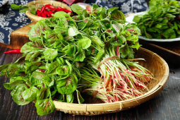 4 loại rau “trường thọ” được thế giới ca tụng, ở Việt Nam mọc như cỏ dại