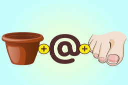 Bạn trẻ - Cuộc sống - Đố bạn giải 5 câu đố này trong 50 giây