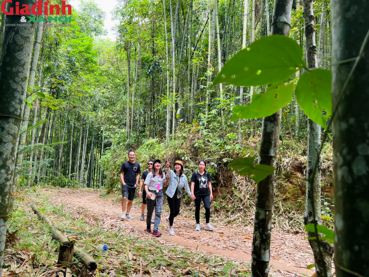 Thật đáng tiếc nếu bạn bỏ lỡ những địa điểm check in Hà Giang dưới đây (Phần 1) - 9