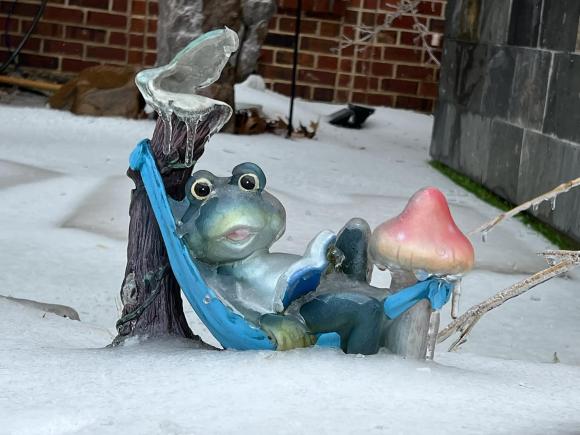 Cận cảnh những biệt thự "triệu đô" của Hồng Ngọc tại Mỹ: 1000m2 như khu nghỉ dưỡng ở biển, khung cảnh đẹp ngỡ ngàng vào mùa Đông - 10