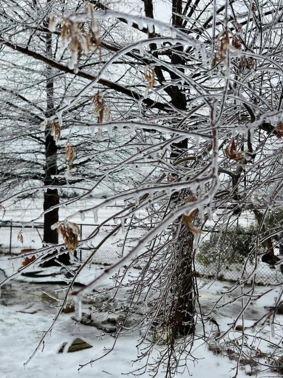 Cận cảnh những biệt thự "triệu đô" của Hồng Ngọc tại Mỹ: 1000m2 như khu nghỉ dưỡng ở biển, khung cảnh đẹp ngỡ ngàng vào mùa Đông - 17