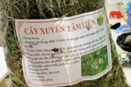 Dịch Covid-19 diễn biến mới, các mặt hàng này lại tiếp tục  ăn khách 