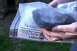 Thế giới - Cục đá rơi vô nhà, ngờ đâu là thiên thạch gần 5 tỉ năm