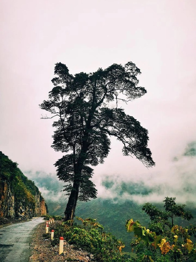 Top 10 điểm check in Quản Bạ Hà Giang vô cùng chất lượng có thể bạn chưa biết - 7