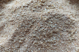 Thị trường - Tiêu dùng - Thứ nhà ai cũng vứt đi mà không biết đó là “mỏ vàng”, dân buôn ngày bán cả tấn