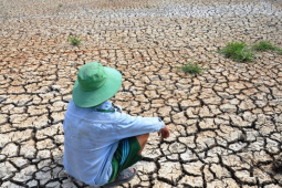 Tin tức trong ngày - El Nino xuất hiện: Nắng nóng kỷ lục, hạn hán gia tăng, bão lũ dị thường