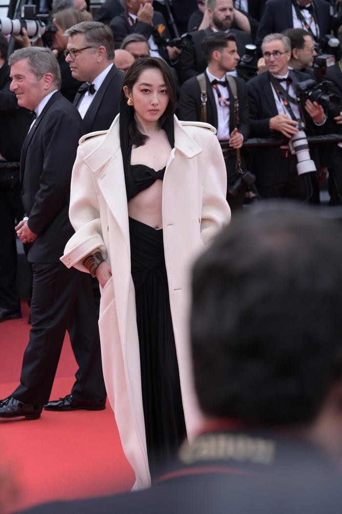 Phạm Băng Băng diện váy mãnh hổ, khoe làn da trắng nõn tại LHP Cannes - 5