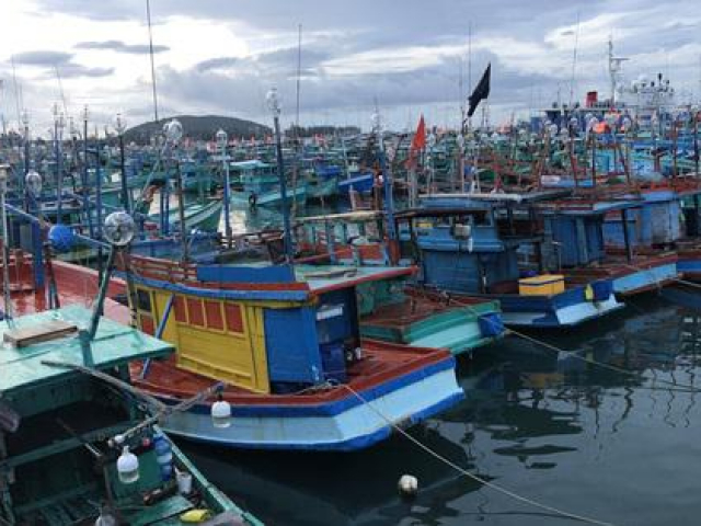 Tin tức trong ngày - Chủ tịch UBND tỉnh Kiên Giang tự kiểm điểm trách nhiệm vì tàu cá vi phạm IUU