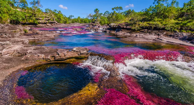 Caño Cristales là một dòng sông tuyệt đẹp ở miền trung Colombia, mang nhiều màu sắc rực rỡ như màu đỏ, xanh lá cây, vàng và đen mỗi khi ánh sáng Mặt trời chiếu vào.
