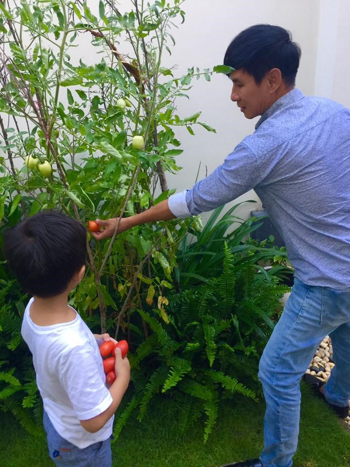 Không gian xanh mướt khiến vợ chồng đạo diễn "Lật mặt 6" quyết rời bỏ ngôi nhà 2 triệu đô ra ngoại thành sinh sống - 8