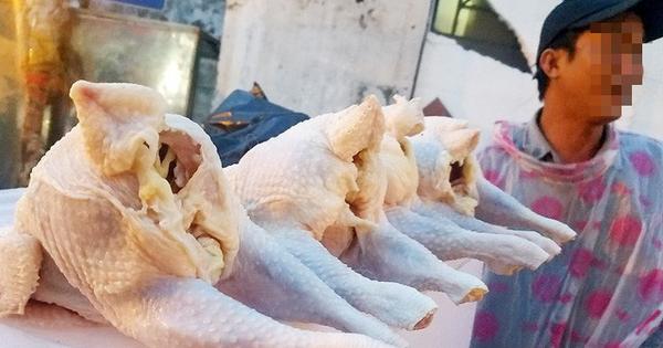 Việc hàng nghìn tấn gà sống đẻ thải loại được nhập lậu qua biên giới vào nước ta mỗi tháng đang khiến nguy cơ lây nhiễm cúm gia cầm, ảnh hưởng sức khỏe người dân.