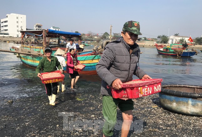 Thuyền ra khơi trúng đậm, đội bốc vác thuê tất bật những ngày đầu năm - 3