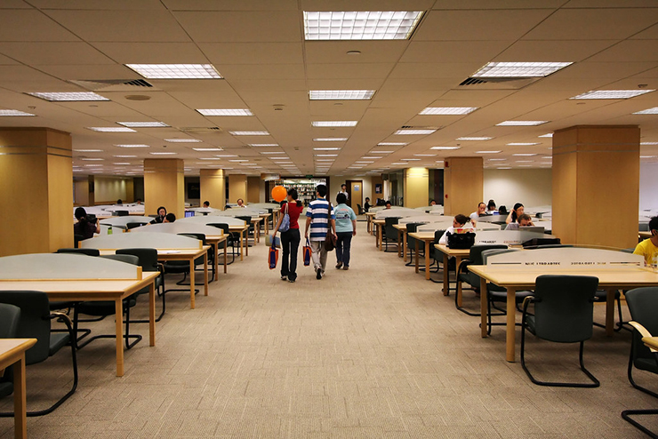 Ngoài NUS, Singapore còn có nhiều trường đại học khác cũng nổi tiếng và danh giá, bao gồm Đại học Công nghệ Singapore (NTU), Singapore Management University (SMU), LASALLE College of the Arts và Nanyang Academy of Fine Arts (NAFA).

