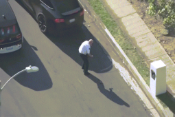 Phi thường - kỳ quặc - Video: Cảnh sát bị đàn ong tấn công, ngã gục dưới đường phố