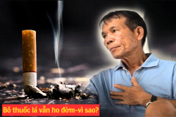 Sức khỏe đời sống - Tại sao bỏ thuốc lá nhưng lại ho, khó thở nhiều hơn? - Chuyên gia "vén màn" bệnh nguy hiểm 