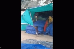 Bạn trẻ - Cuộc sống - Khoảnh khắc cậu bé bảo vệ cửa hàng của mẹ giữa bão, lay động nhiều trái tim