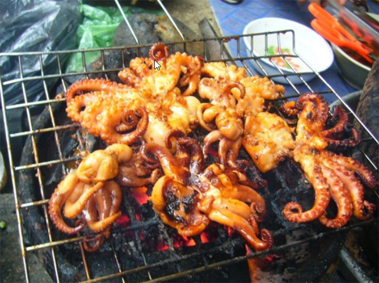 Loài này con lớn nhất cũng chỉ bằng ngón tay cái, nên người dân Hạ Long gọi là bạch tuộc mini.

