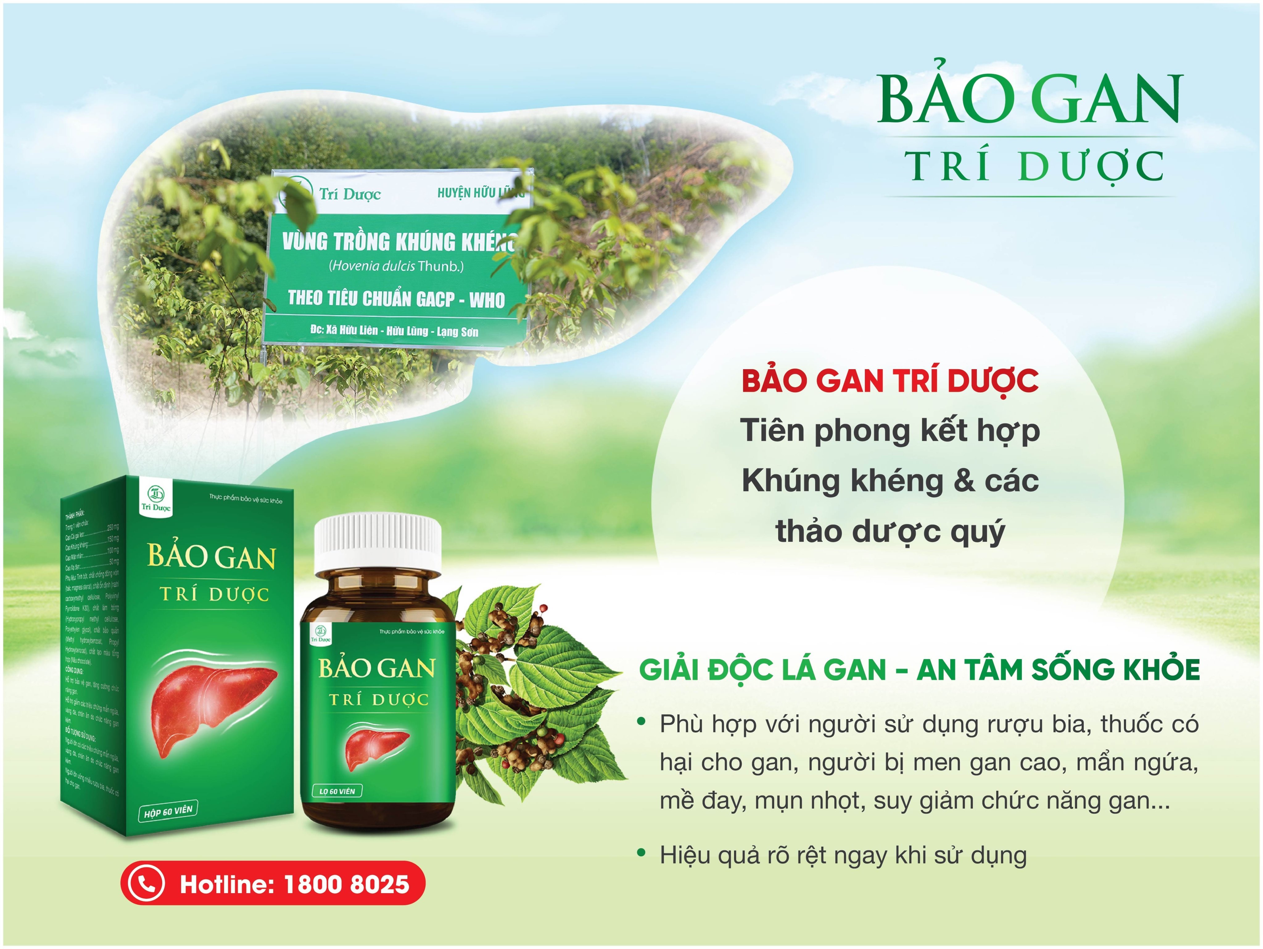 &nbsp;Bảo Gan Trí Dược hỗ trợ giải độc lá gan – An tâm sống khỏe