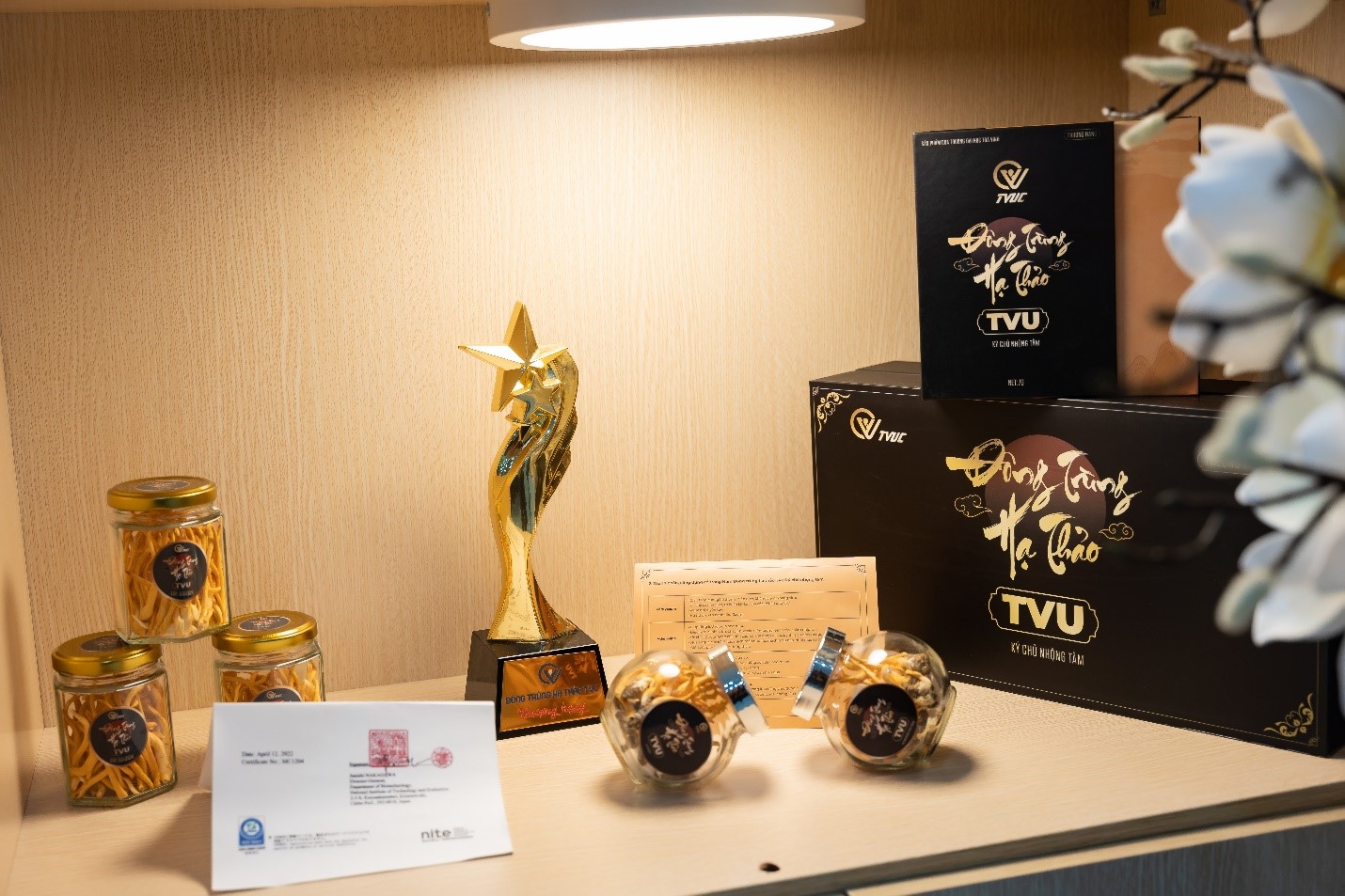 Cầu thủ Huỳnh Như và "người bạn đồng hành" Đông trùng hạ thảo TVU tại Seagame 32 - 4