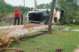 Tin tức trong ngày - Ô tô “bứng” cây xanh rồi lật ngang trên vỉa hè