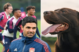 Bóng đá - Arsenal chưa từ bỏ đua vô địch, HLV Arteta dắt chó đến sân tập "lấy may"