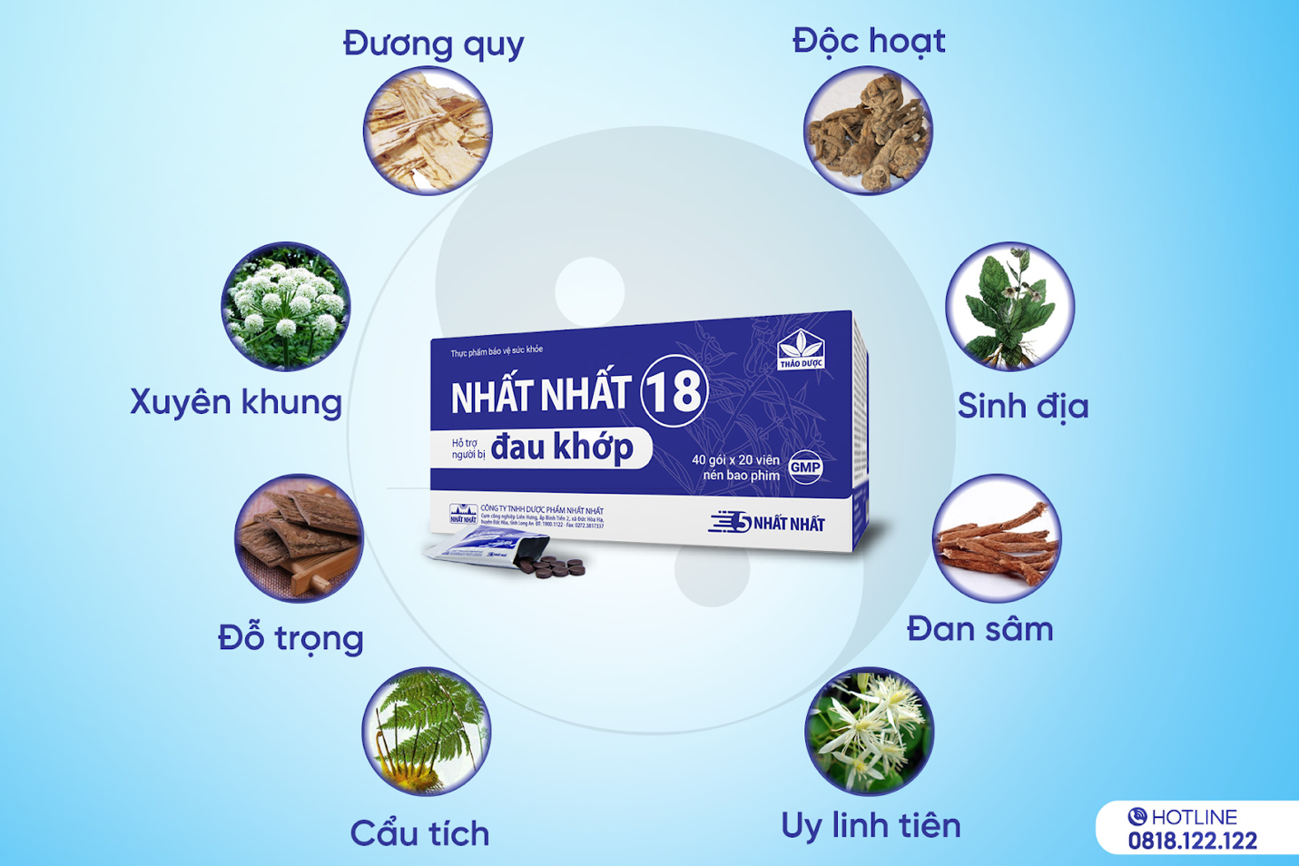 Viên nén Nhất Nhất 18- dùng cho người bị đau khớp