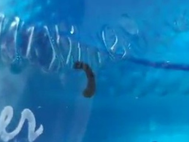 Tin tức trong ngày - Vụ con đỉa trong bình nước: Mức phạt khó tin vì... "tiêu hủy chứng cứ"