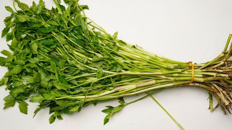 3 đặc điểm tố cáo rau 