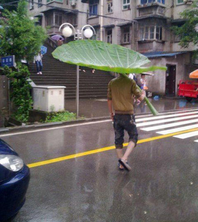 Chiếc ô vừa độc lạ vừa tiện lợi nhé.