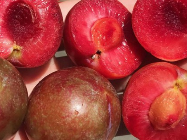 Ẩm thực - Ăn mận cực tốt nhưng 4 nhóm người này được khuyến cáo không nên ăn